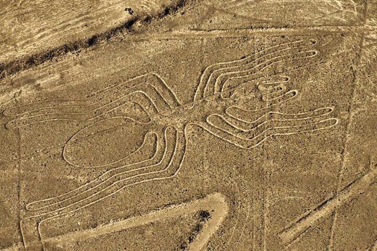 un disegno di una stella nella sabbia