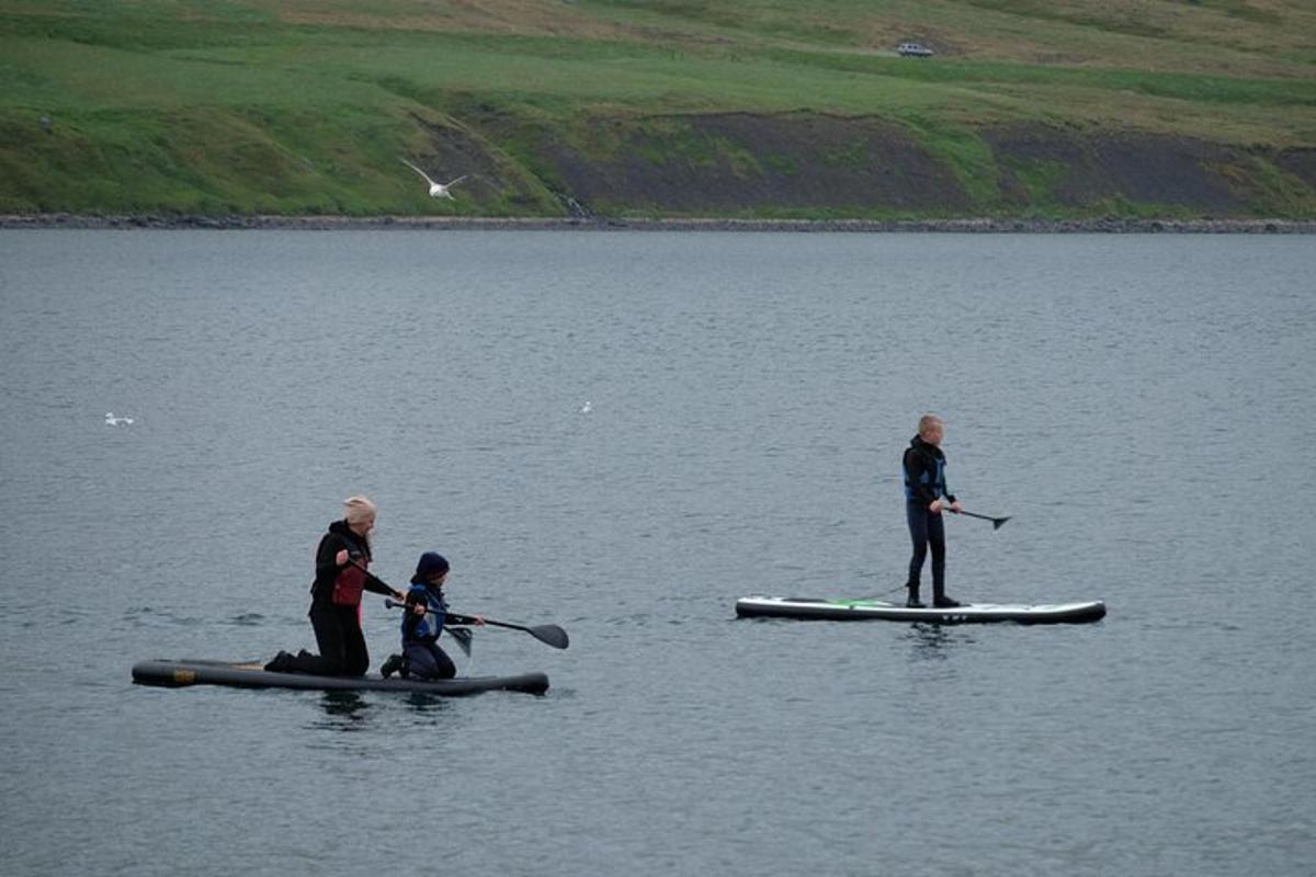 tři lidé stojí na paddleboardech ve vodě
