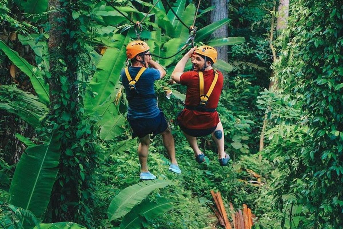hai người trong rừng đội mũ bảo hiểm