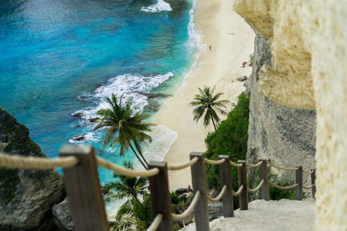 Una vista de una playa con palmeras y el océano.