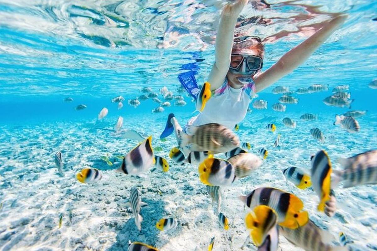 una mujer nadando en el agua con peces