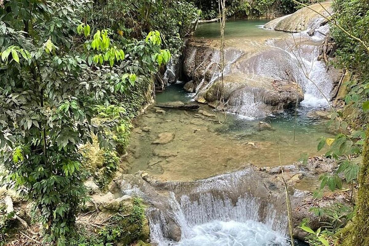 aliran air di tengah hutan