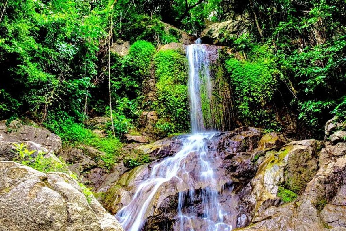 una cascada en medio de un bosque