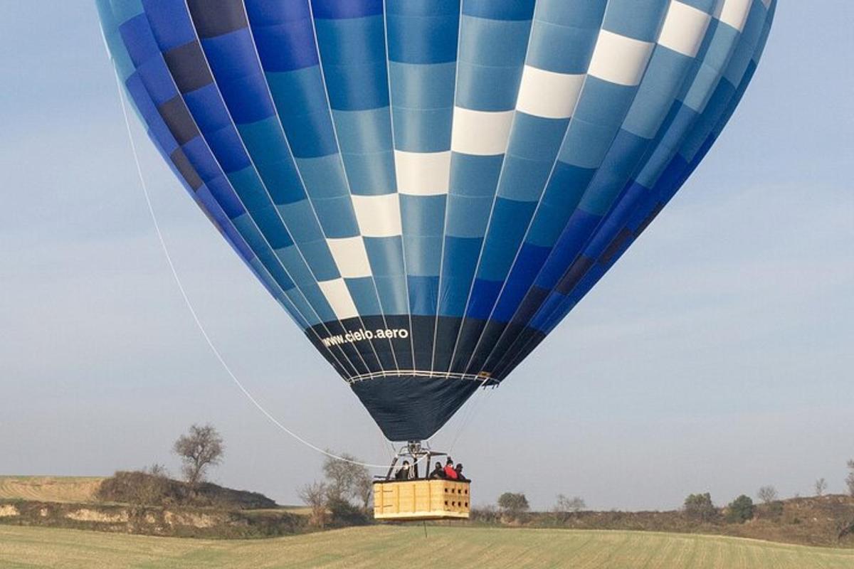una mongolfiera blu e bianca che vola sopra un campo