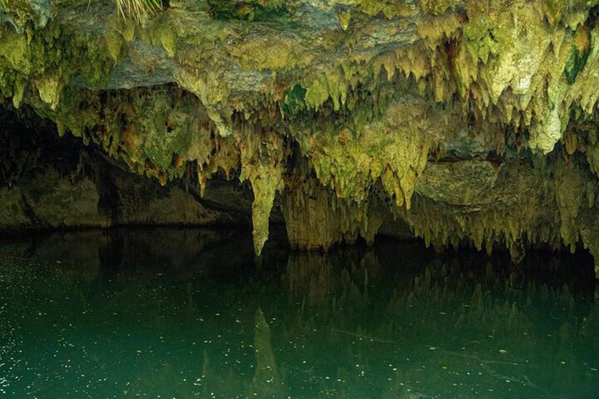 un charco de agua en una cueva con musgo