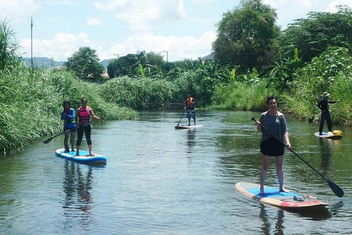 un grup de oameni pe plăci de paddle într-un râu