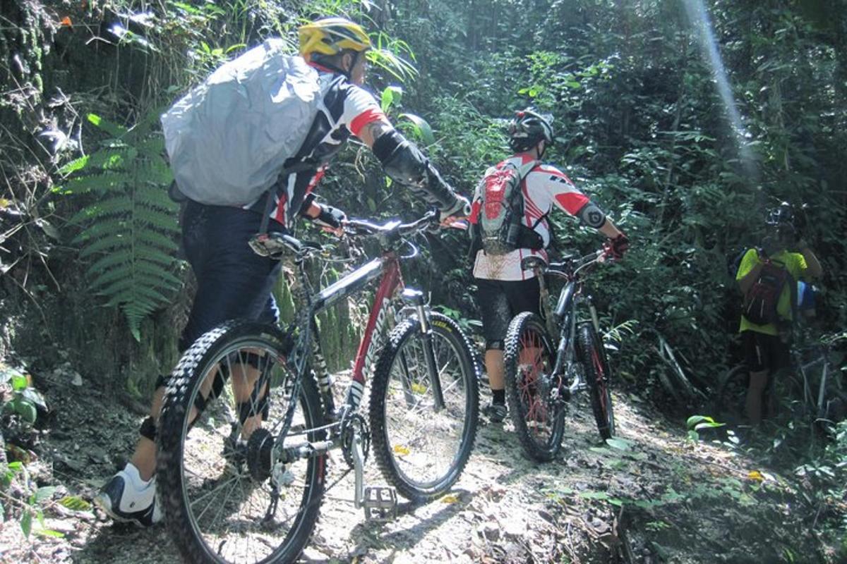 zwei Personen fahren mit dem Fahrrad auf einem Pfad im Dschungel