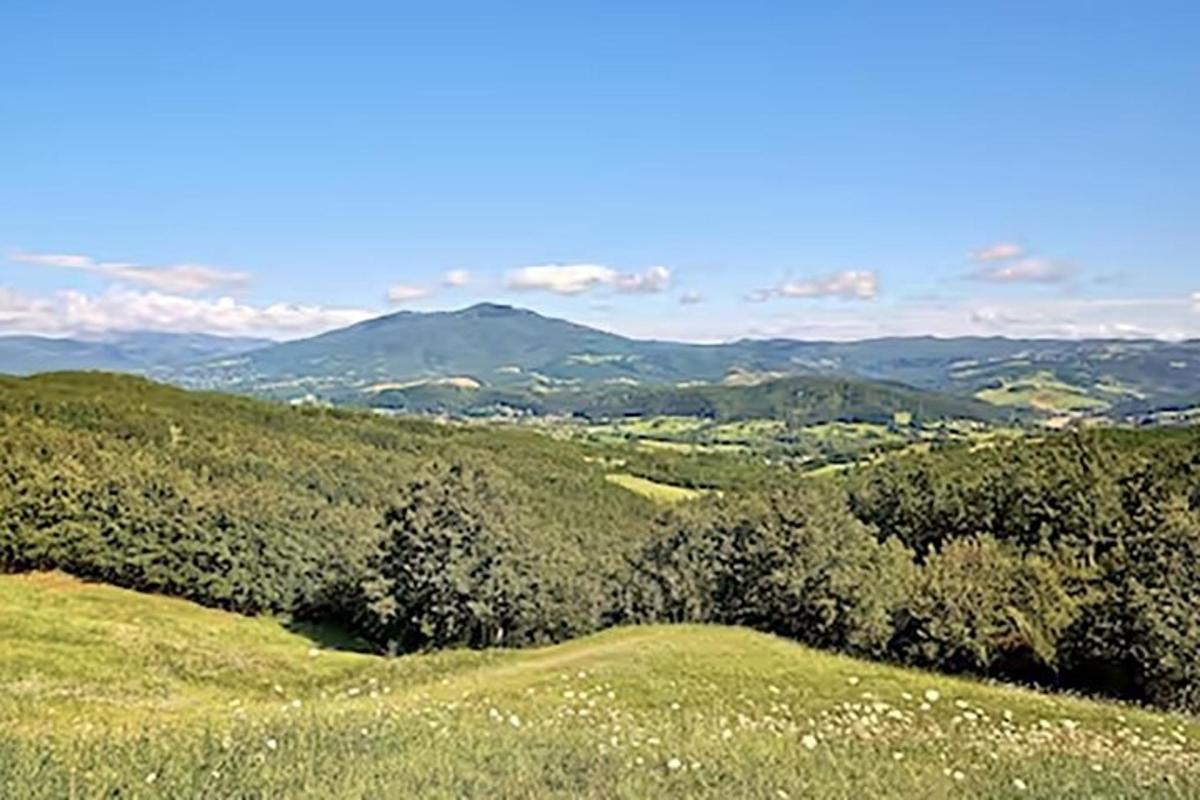 a green hill with trees and mountains in the background