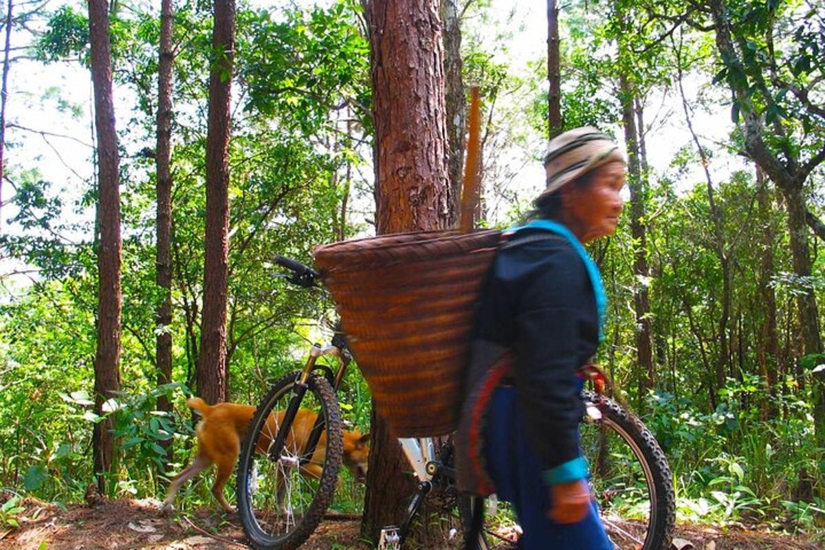 seorang wanita menunggang basikal dengan bakul di atasnya