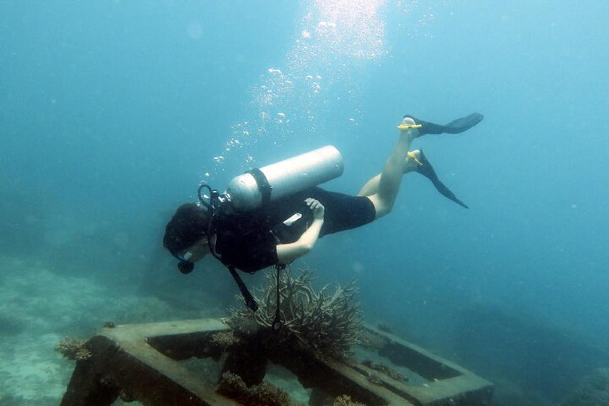 o persoană care înoată în apă cu un coș de gunoi în ocean