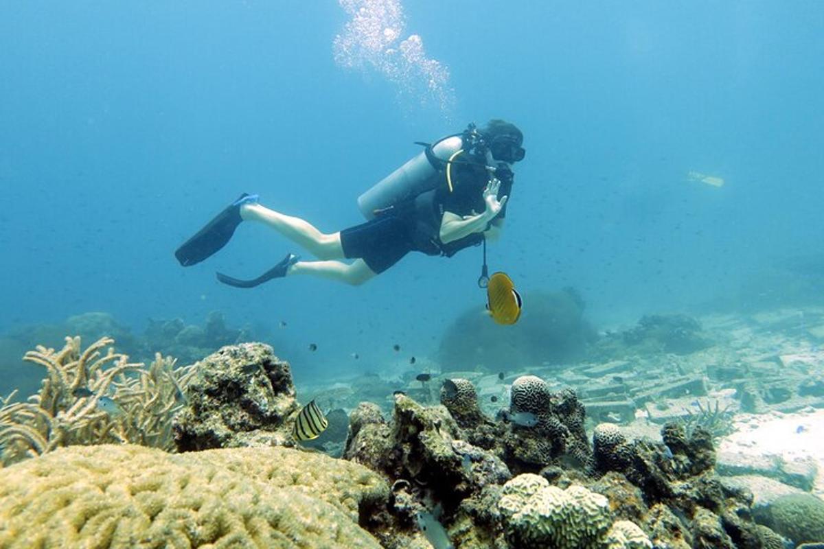uma pessoa mergulhando sobre um recife de coral