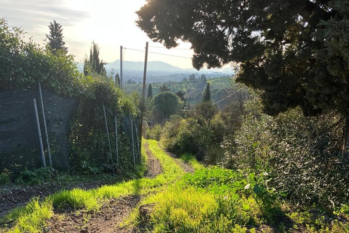 una strada sterrata con una recinzione su una collina