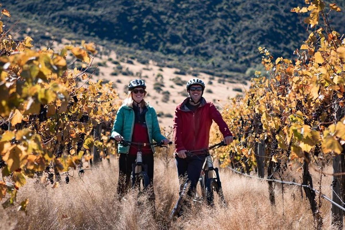 un home i una dona anant en bicicleta per una vinya