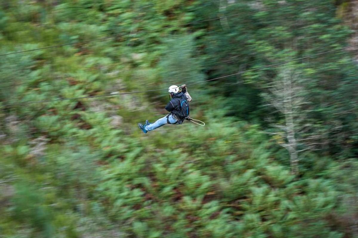 a person flying through the air over a forest