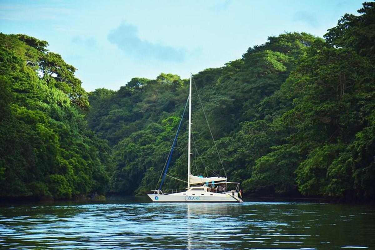 una barca a vela bianca sull'acqua con gli alberi