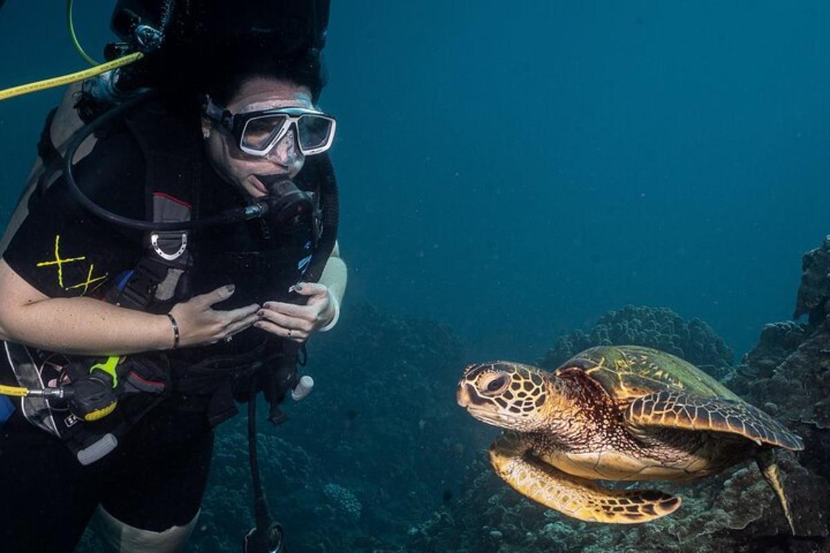 uma mulher parada ao lado de uma tartaruga no oceano