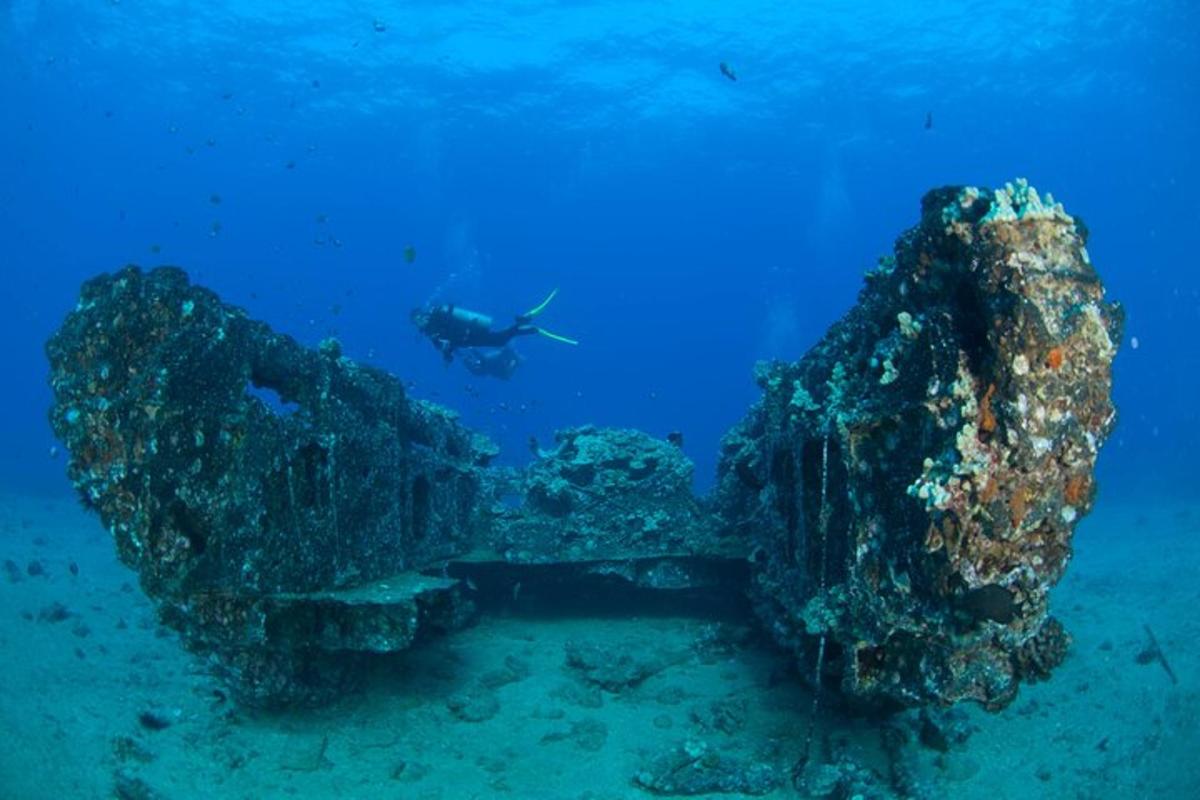 seorang penyelam di laut dekat terumbu karang