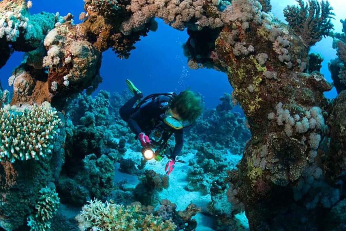 Un hombre con traje de neopreno nadando sobre un arrecife de coral.