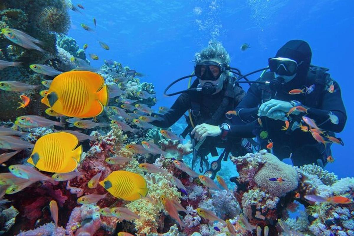 Dos personas en el océano cerca de un arrecife de coral.