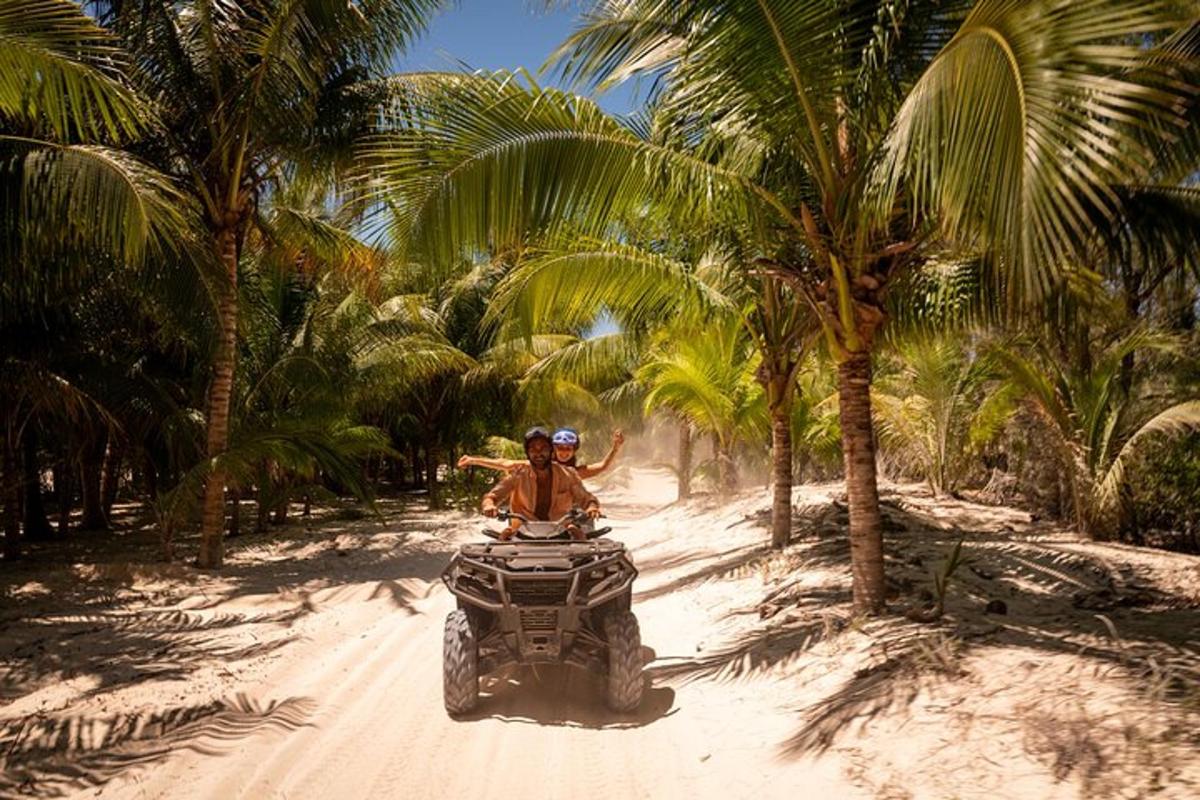 isang lalaking nakasakay sa quad bike sa isang maruming kalsada sa pagitan ng mga palm tree