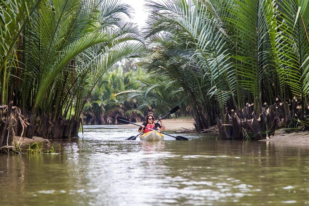 una persona in kayak su un fiume vicino alle palme
