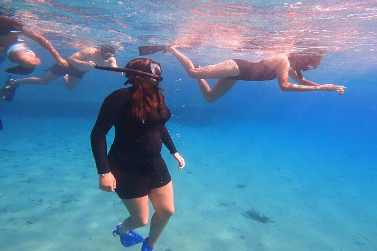 een groep mensen die in het water zwemmen