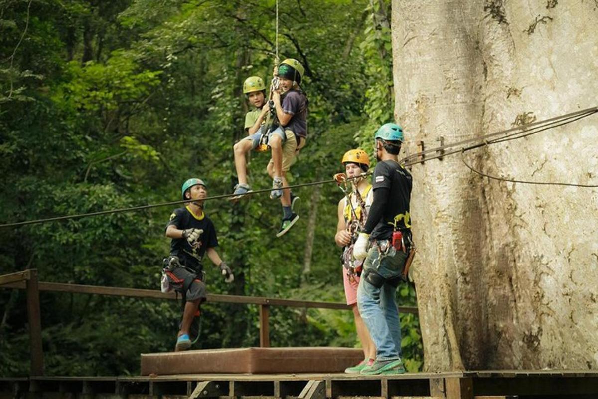 un gruppo di persone su una teleferica vicino a un albero