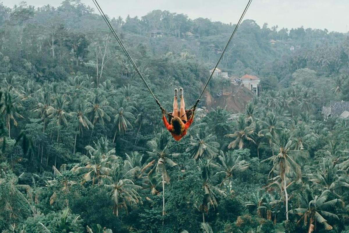 seseorang dalam buaian di atas hutan pokok palma