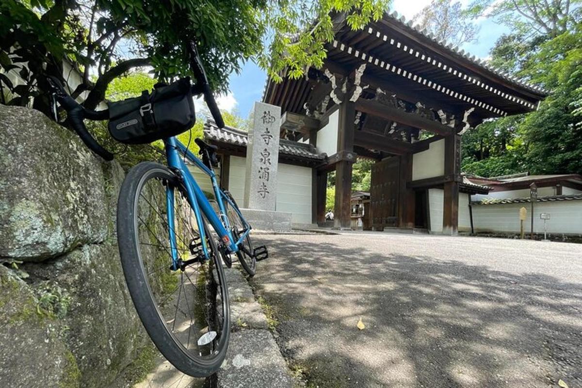 una bicicletta blu parcheggiata accanto a un edificio