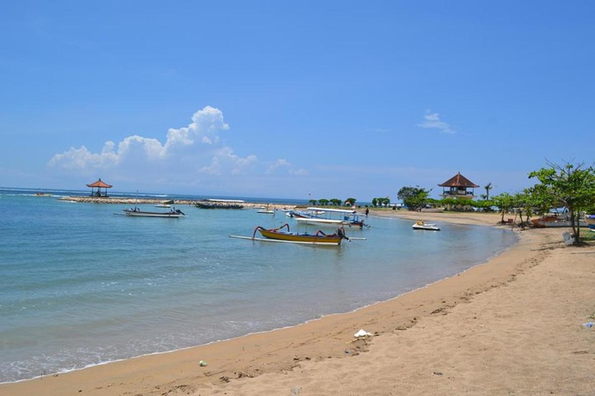 uma praia com vários barcos na água