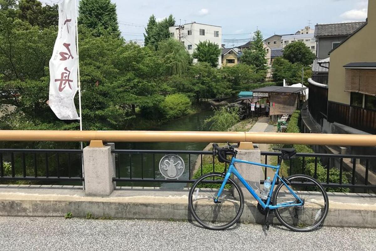 modrý bicykel zaparkovaný pred plotom