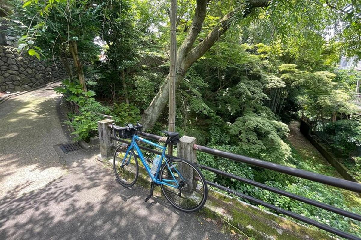 una bicicletta blu parcheggiata accanto a una recinzione