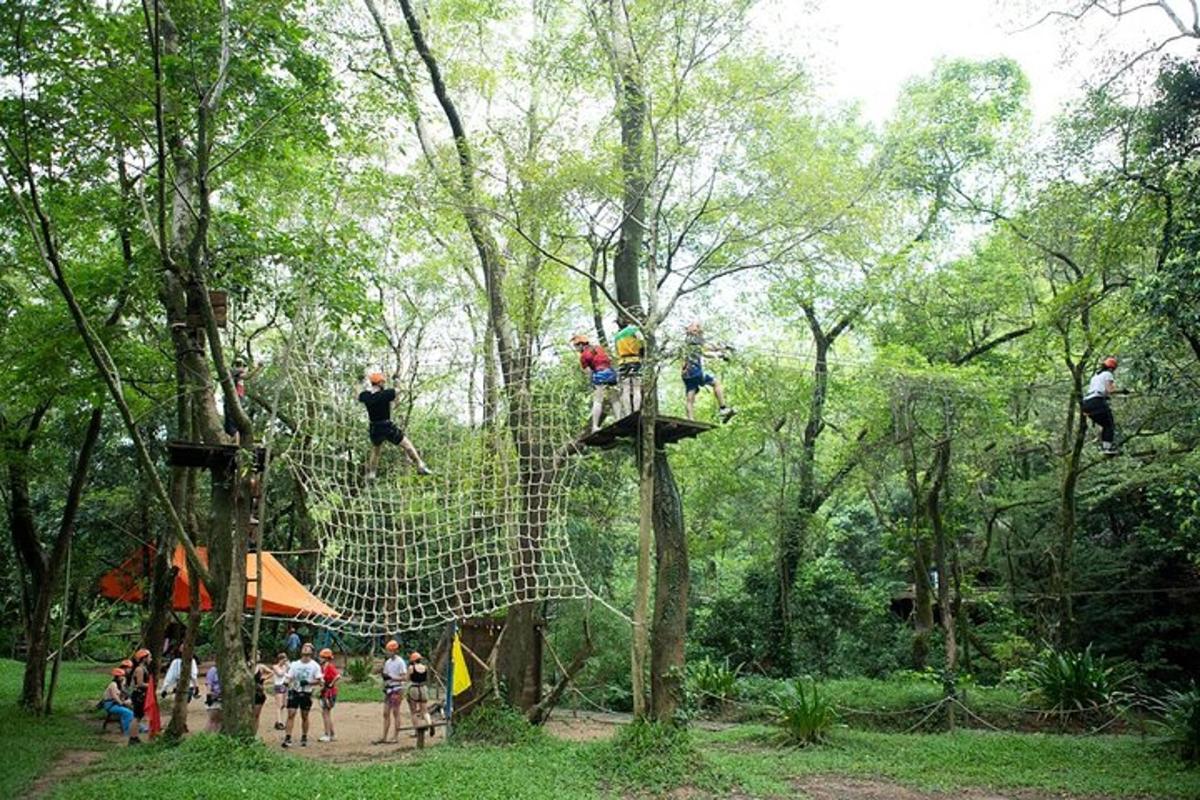 a group of people on a net in a forest