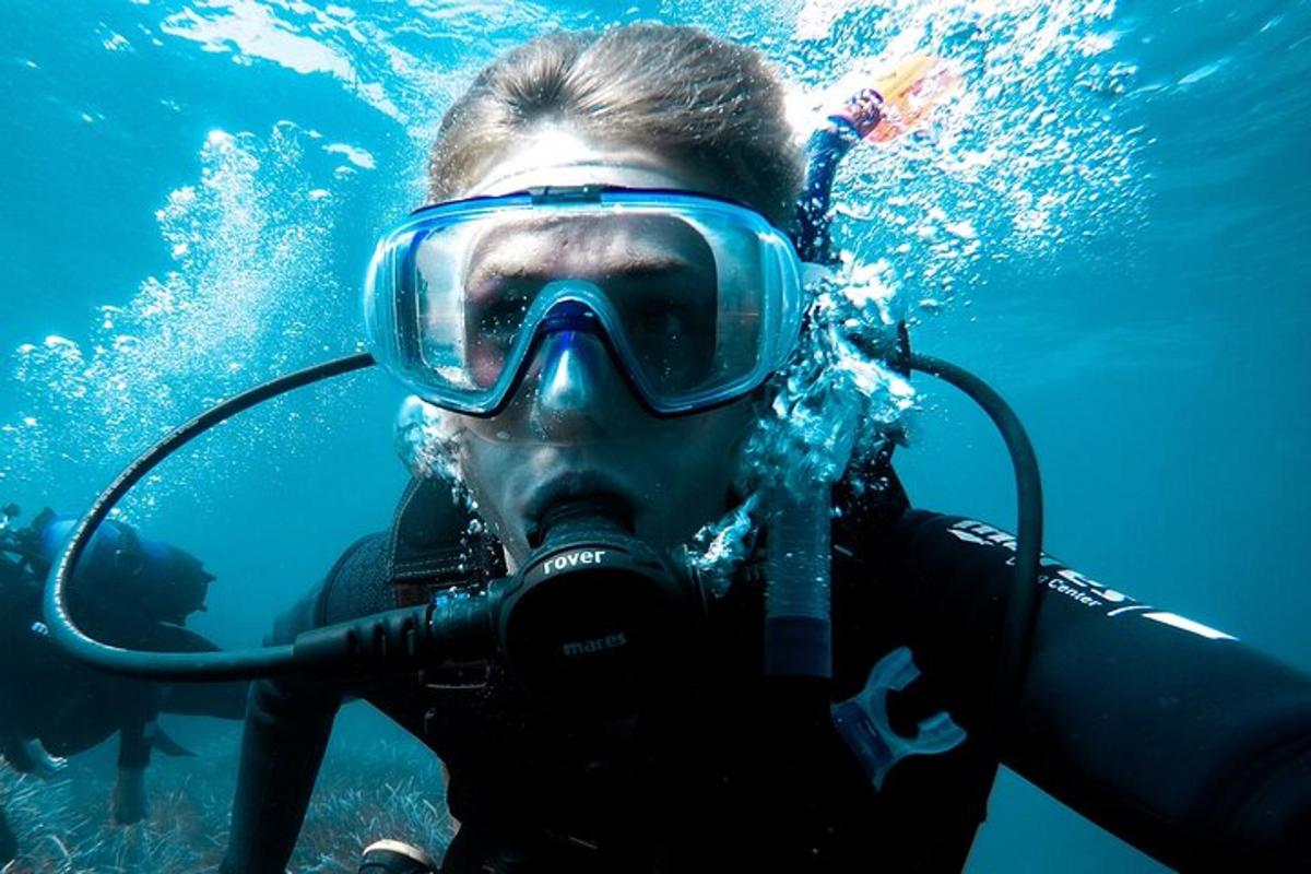 seseorang dalam topeng snorkel berada di bawah air