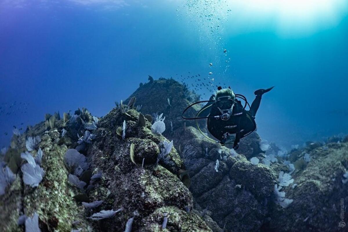 seseorang sedang berdiri di atas batu di lautan