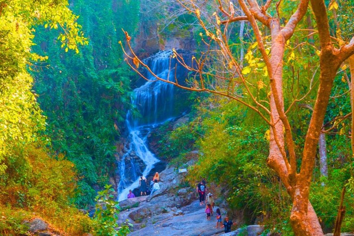 una pintura d'una cascada en un bosc