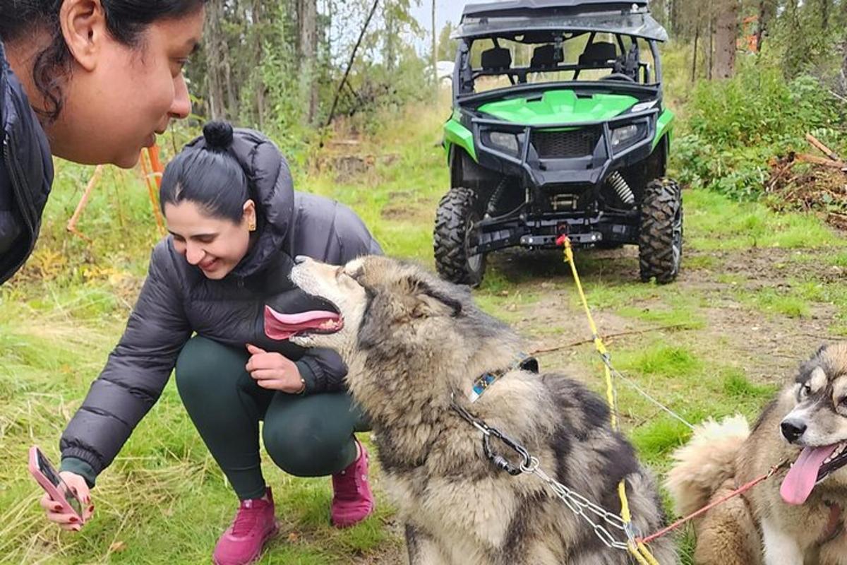 Stelpa klappar hundi með fjórhjóli og tveimur hundum