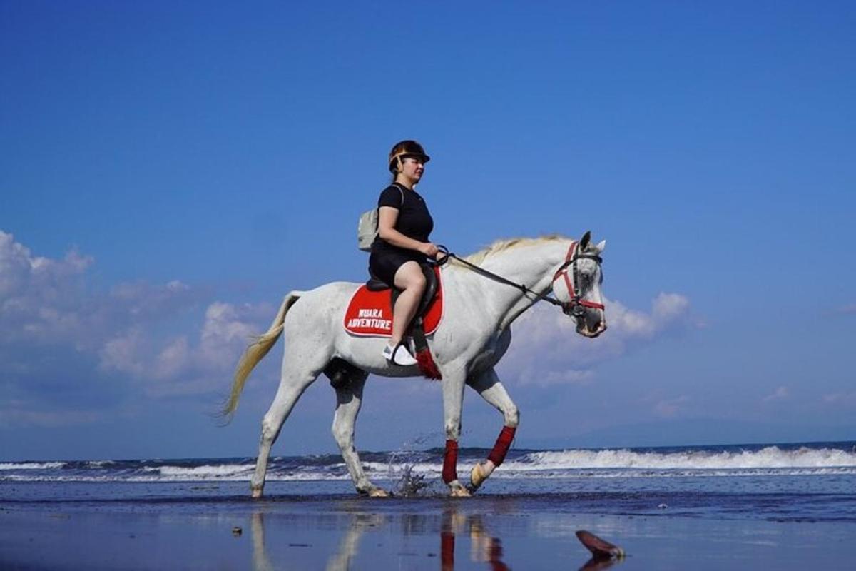 uma mulher cavalgando um cavalo branco na praia