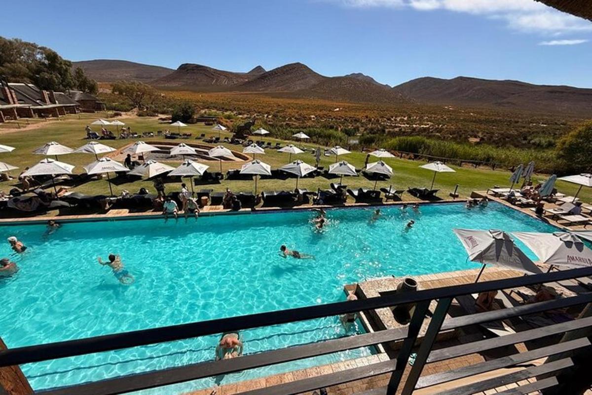 una grande piscina con persone dentro con gli ombrelloni