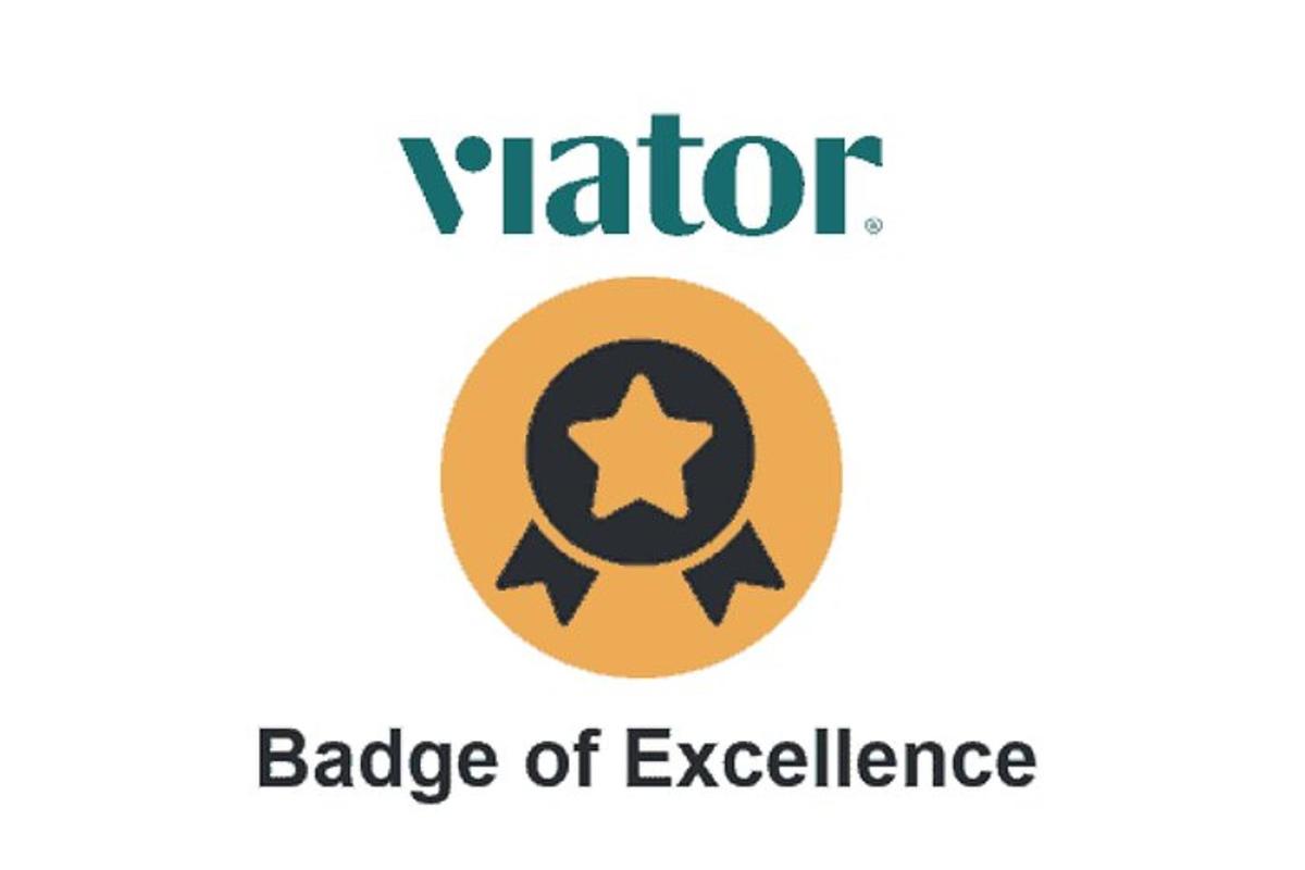 um distintivo de excelência com uma estrela e as palavras distintivo de excelência vator