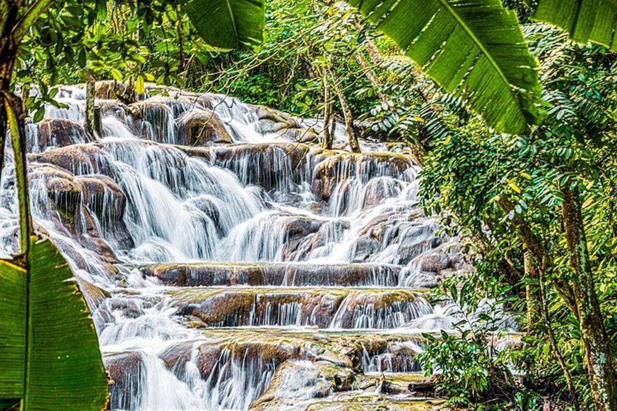 air terjun di tengah-tengah hutan dengan pepohonan