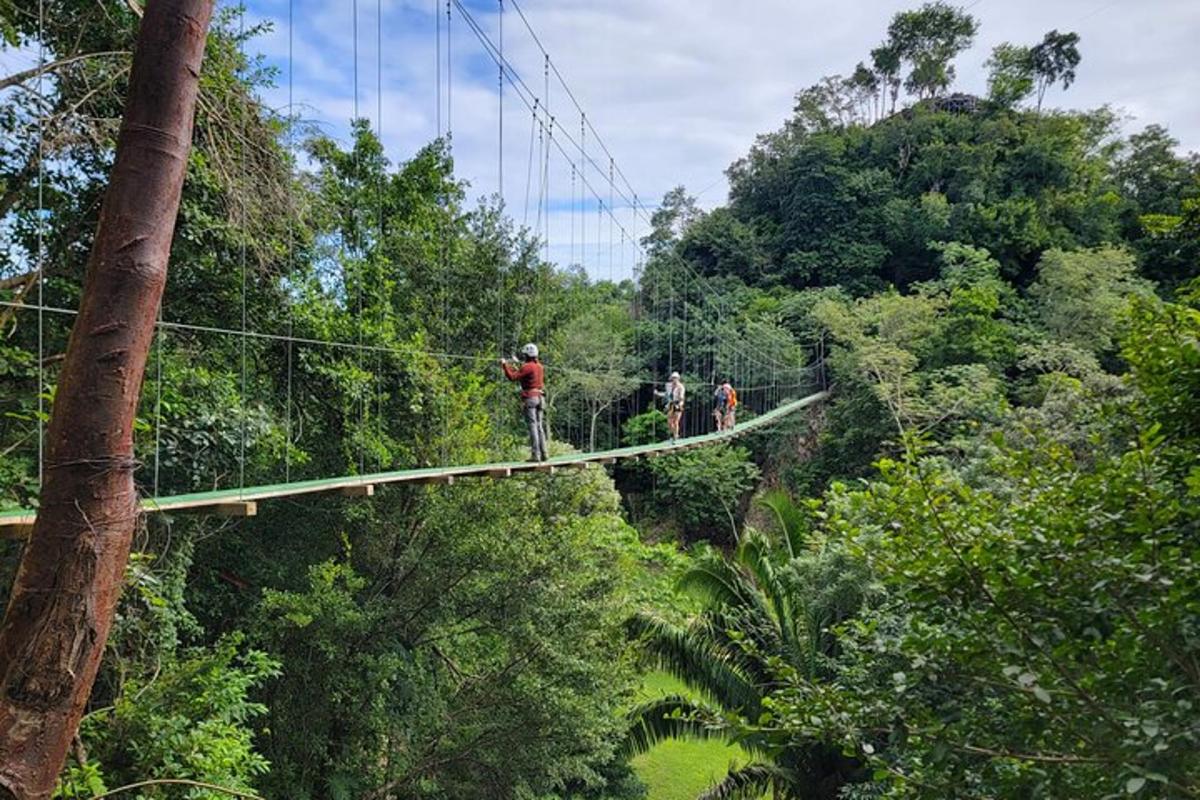 a group of people walking across a suspension bridge in the jungle