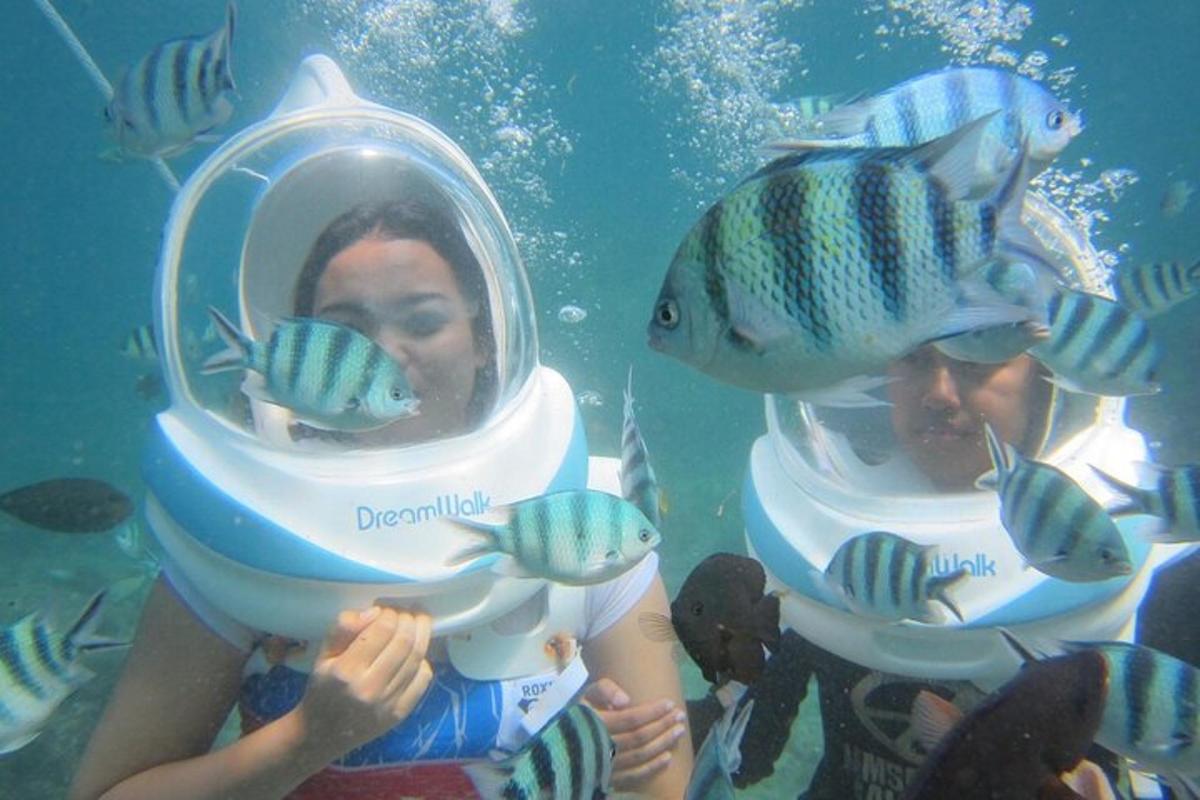 un paio di persone guardano un pesce nell'acqua