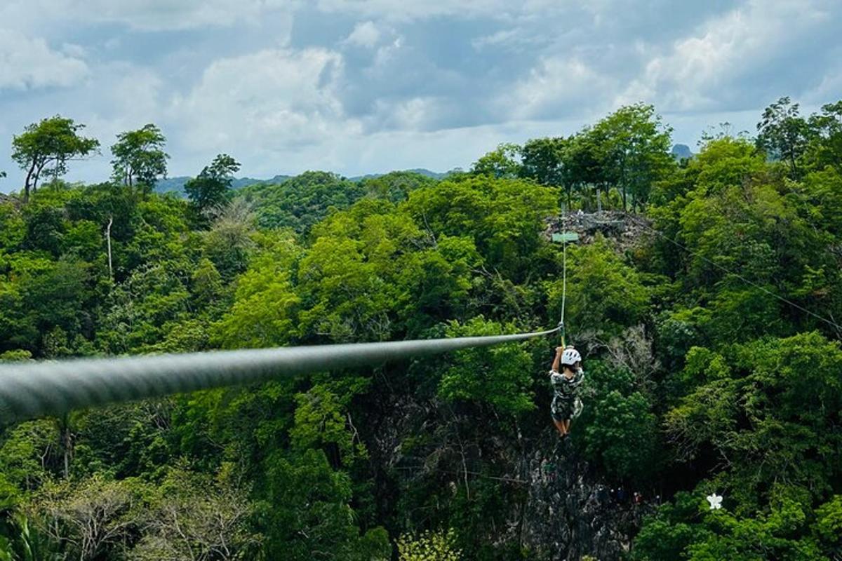 a person on a zip line over a forest