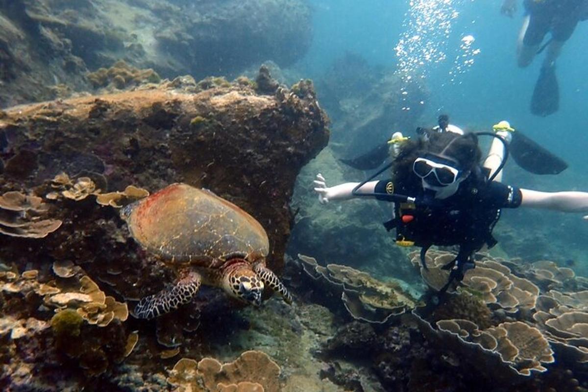 una persona con una macchina fotografica e una tartaruga nell'acqua