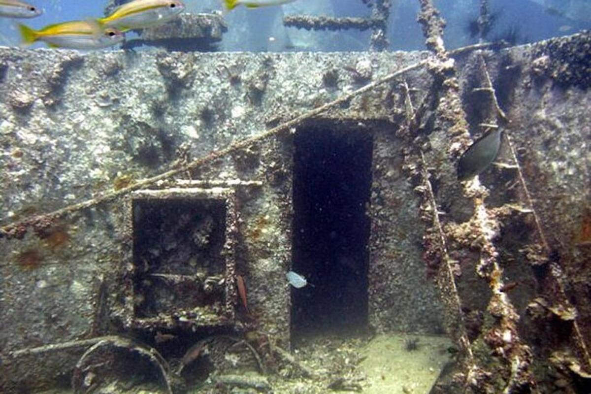una grotta nell'oceano con dei pesci al suo interno