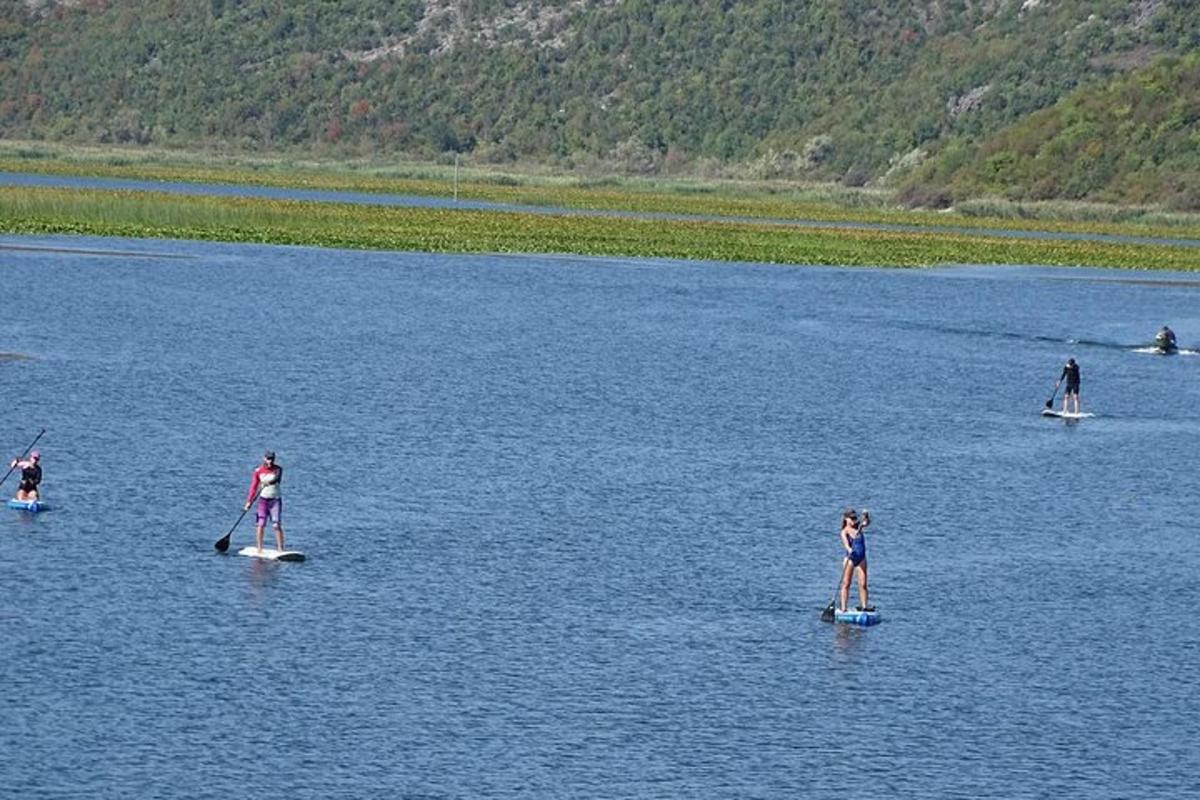 um grupo de pessoas em pranchas de remo na água