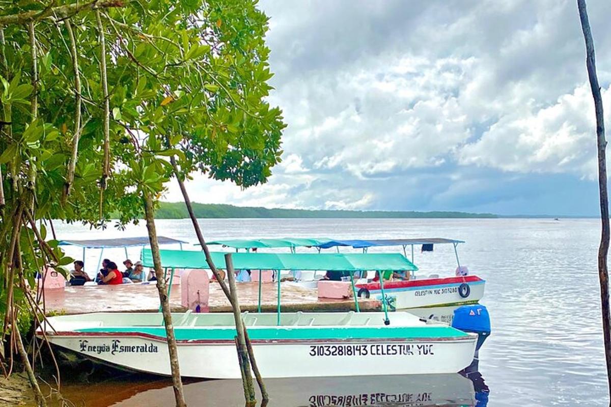two boats docked on the shore of a body of water