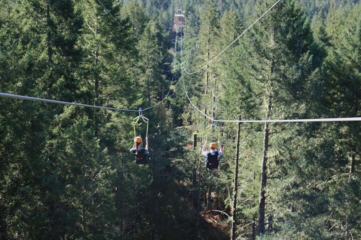 a group of people riding a zip line through a forest