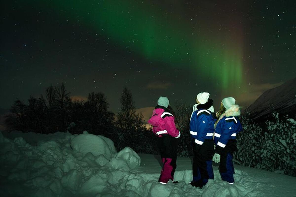 Cuatro personas de pie en la nieve mirando la aurora boreal